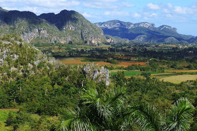 Voyage Culture, détente, immersion : l'île de Cuba à vélo