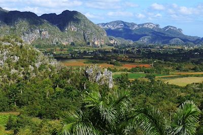 Vallée de Vinales - Cuba