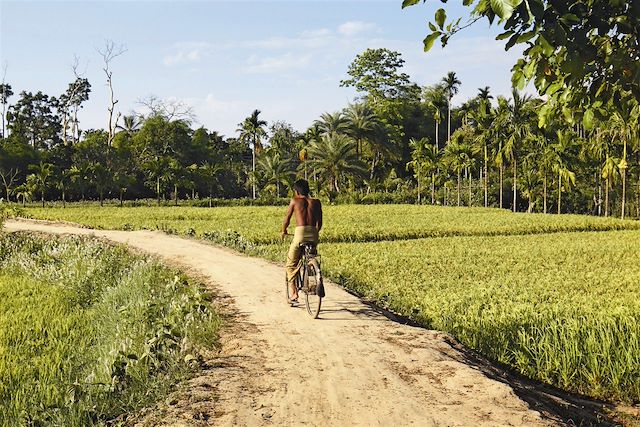 Voyage Culture, détente, immersion : l'île de Cuba à vélo