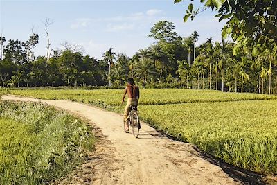 Sur un chemin - Cuba