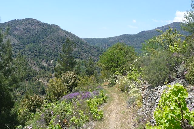 Voyage Montagne du Troodos et péninsule de l'Akamas