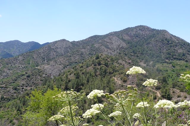 Voyage Montagne du Troodos et péninsule de l'Akamas