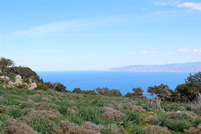 Péninsule d'Akamas - Chypre