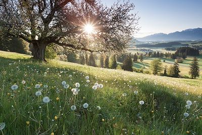 Bavière - Allemagne