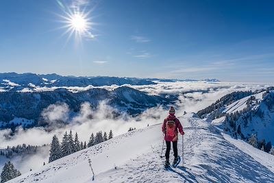 Circuits accompagnés Allemagne