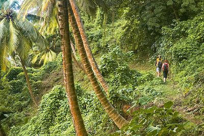 Waitukubuli National Trail - Ile de la Dominique