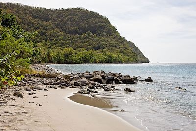 Cabrits National Park - Ile de la Dominique