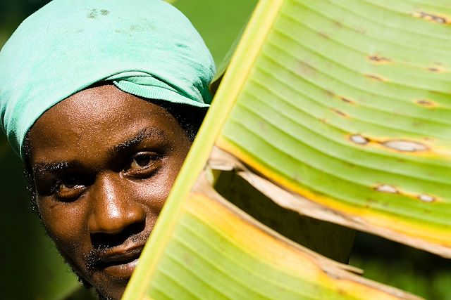 Voyage La Dominique, entre jungle et volcans