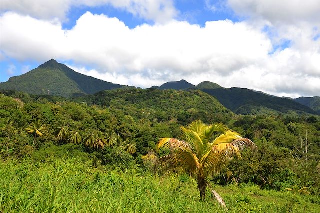 Voyage La Dominique, entre jungle et volcans