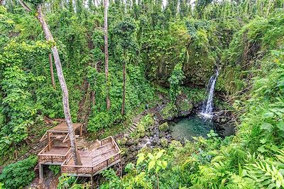 Emerald Pool - Ile de la Dominique