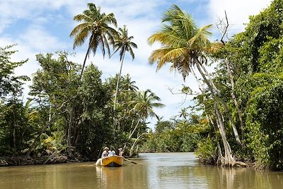 Indian River - Ile de la Dominique