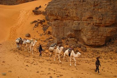 Tassili N'Ajjers - Algérie