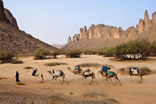 Voyage La caravane d'Essendilène 