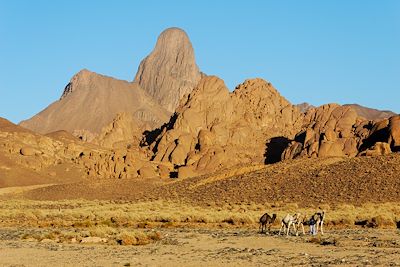 De l´Atakor à la Taessa - Hoggar - Algerie