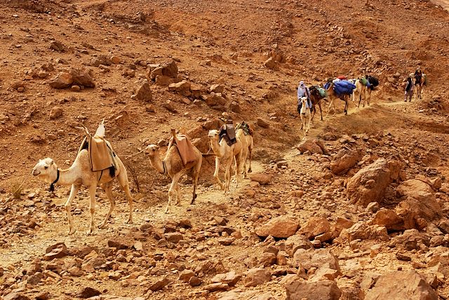 Voyage Randonnée dans le Hoggar 