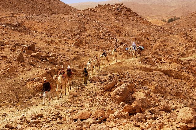 Voyage Randonnée dans le Hoggar 