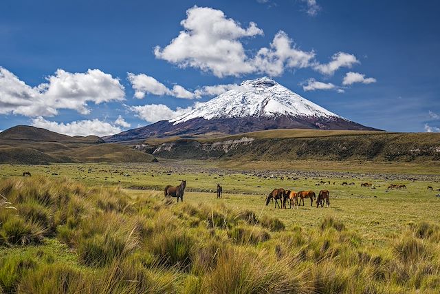 Voyage Trekking au cœur des Andes