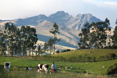 Volcan Ruminahui - Equateur