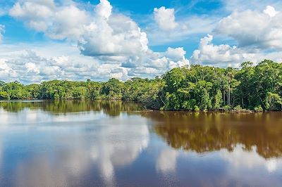 Forêt amazonienne - Equateur