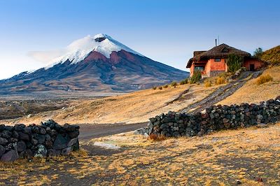 Volcan enneigé de Cotopaxi en Equateur