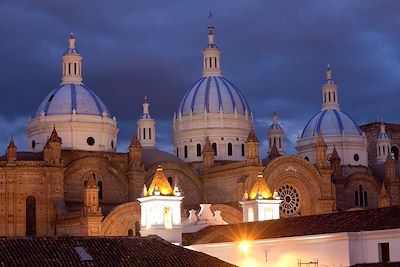 Cathédrale de l'Immaculée Conception - Cuenca - Equateur