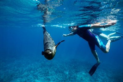 Snorkeling - Galapagos - Équateur