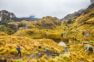 Randonnée dans le parc national de Las Cajas - Equateur  