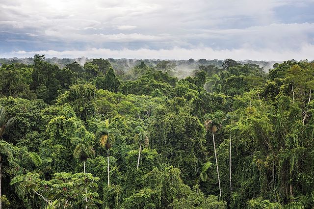 Voyage Jungle, volcans et archipel des Galápagos