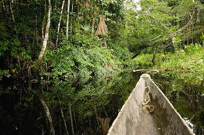 Pirogue en Amazonie équatorienne - Equateur