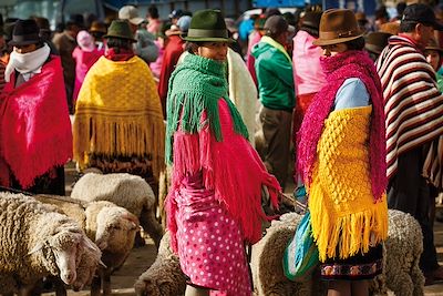 Marché de Zumbahua - Province de Cotopaxi - Equateur