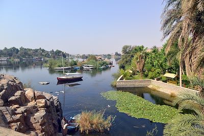 Vue du Nil depuis les jardins botaniques de l’île de Kitchener, Assouan - Egypte