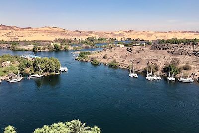 Les berges du Nil - Assouan - Egypte