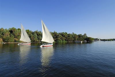 Felouques à Assouan - Vallée du Nil - Egypte