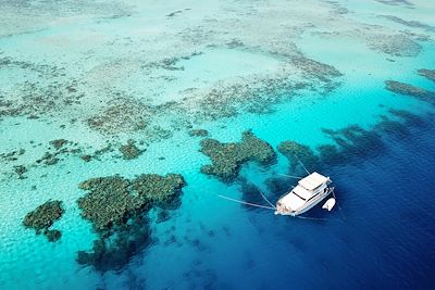 Baignade - Snorkeling Mer Rouge