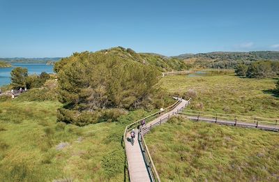 Parc Natural de s'Albufera des Grau - Minorque - Iles Baléares - Espagne