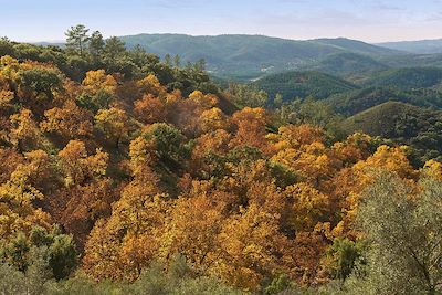 Parc naturel de la Sierra de Aracena - Andalousie - Espagne