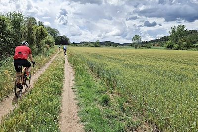 En gravel à travers champs - Catalogne - Espagne