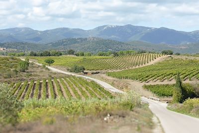 Vignobles Alt Emporda - Espagne