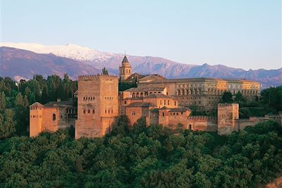 L'Alhambra - Grenade - Espagne