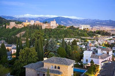 Vue sur l'Alcazaba - Grenade - Espagne