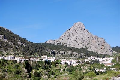 Région de Grazalema - Andalousie - Espagne