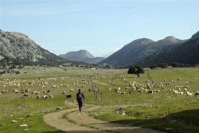 Grazalema - Andalousie - Espagne