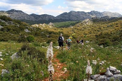 Sierra - Grazalema - Espagne