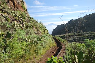 Agulo - Gomera - Canaries