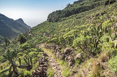 Sur le sentier de randonnée qui part du village d'El Cercado et descend le ravin d'Argaga jusqu'à la vallée Gran Rey - La Gomera - Iles Canaries - Espagne