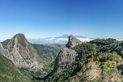 Parc national de Garajonay - La Gomera - Iles Canaries - Espagne