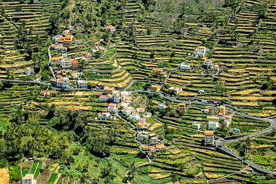 Charmes et mystères de La Gomera