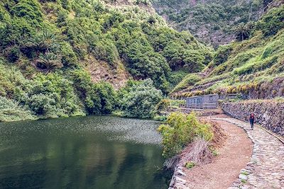 Barranco el Cedro - La Gomera - Iles Canaries - Espagne