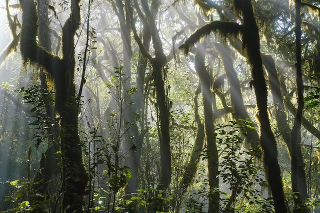 Voyage Charmes et mystères de La Gomera