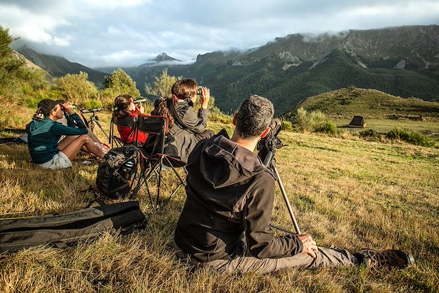 Voyage A l'affût de l'ours brun et du loup ibérique